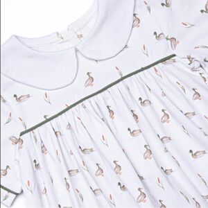 Stitchy Fish Migrating Mallard Bubble, Green